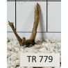 Spiderwood 779
