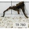 Spiderwood 780