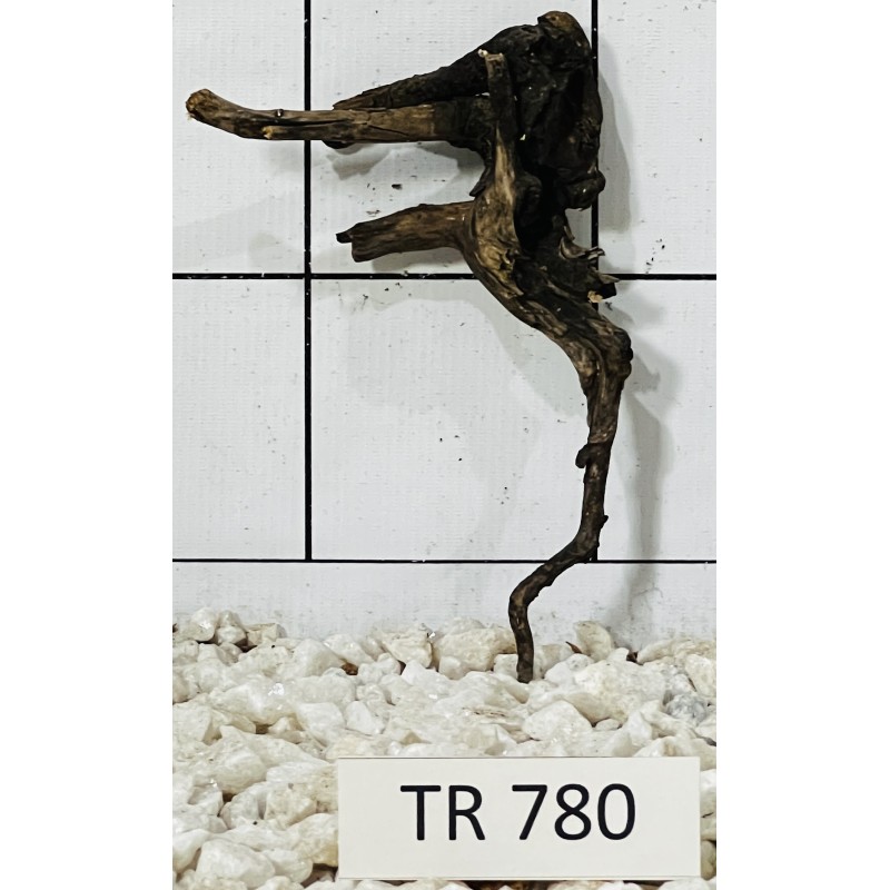 Spiderwood 780
