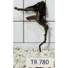 Spiderwood 780