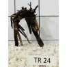 Spiderwood 24
