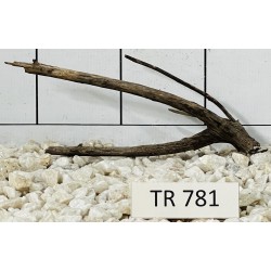 Spiderwood 781