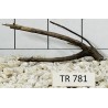 Spiderwood 781