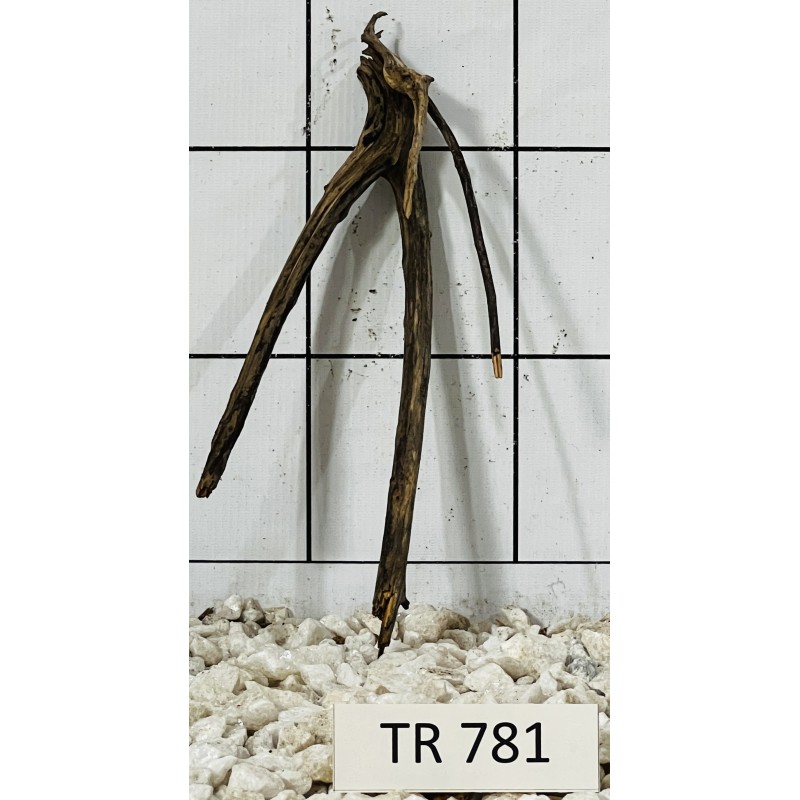 Spiderwood 781