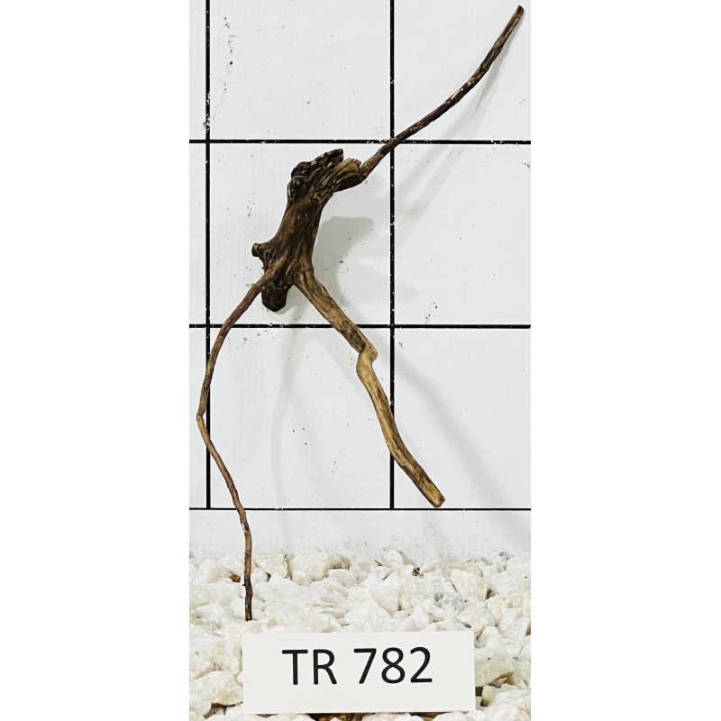 Spiderwood 782