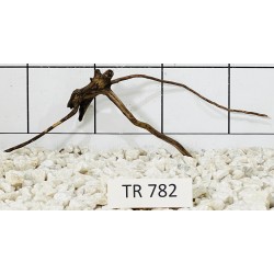 Spiderwood 782