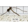 Spiderwood 782