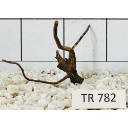 Spiderwood 782