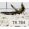 Spiderwood 784