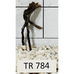 Spiderwood 784