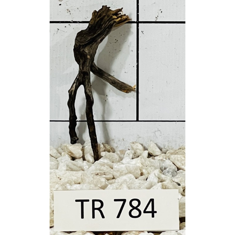 Spiderwood 784