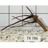 Spiderwood 786