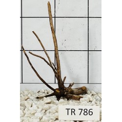 Spiderwood 786