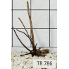 Spiderwood 786