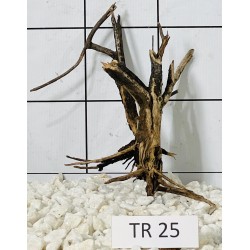 Spiderwood 25