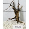 Spiderwood 25