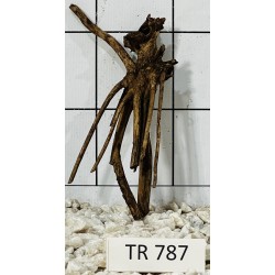 Spiderwood 787