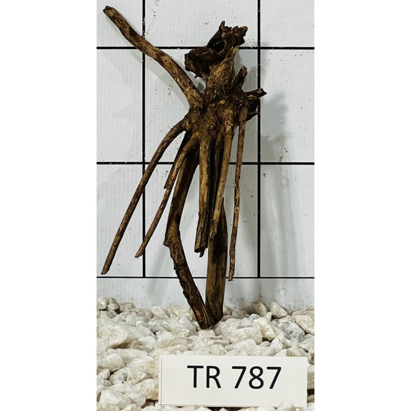 Spiderwood 787