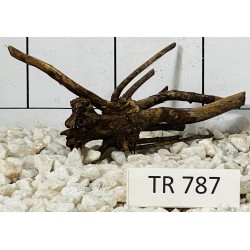 Spiderwood 787