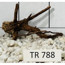 Spiderwood 788