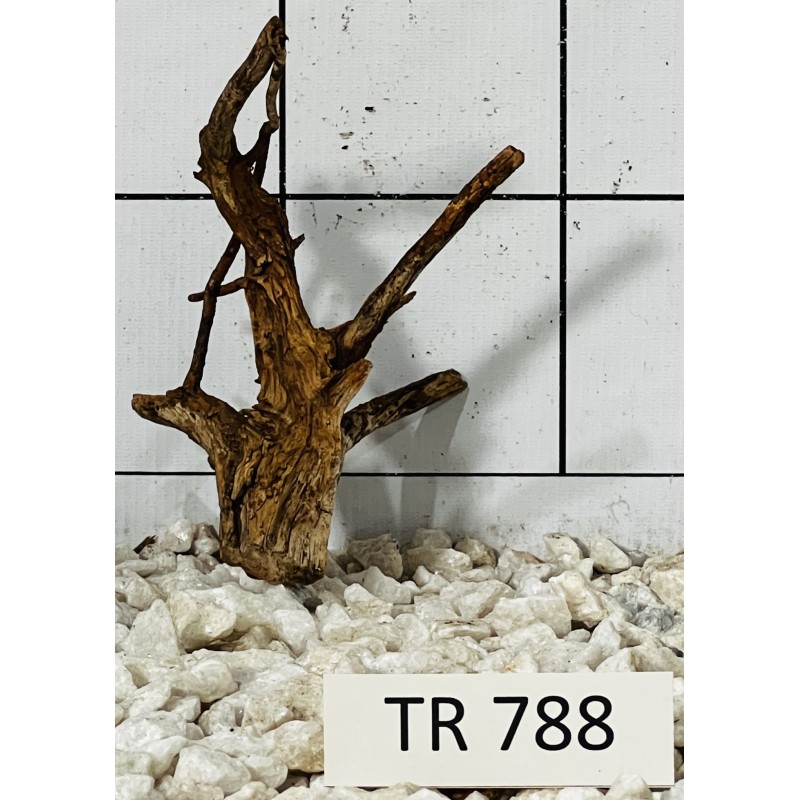 Spiderwood 788