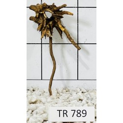 Spiderwood 789