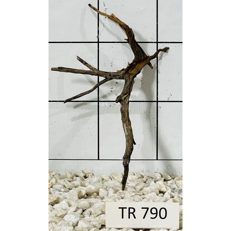 Spiderwood 790