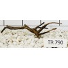 Spiderwood 790