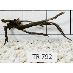 Spiderwood 792