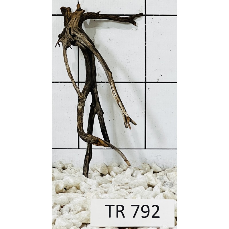Spiderwood 792
