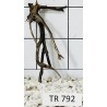 Spiderwood 792