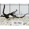 Spiderwood 792