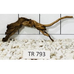 Spiderwood 793