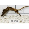 Spiderwood 793