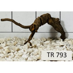 Spiderwood 793