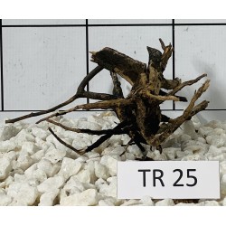 Spiderwood 25