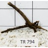 Spiderwood 794