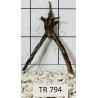 Spiderwood 794