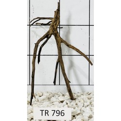 Spiderwood 796