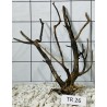 Spiderwood 26