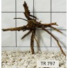 Spiderwood 797
