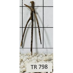 Spiderwood 798
