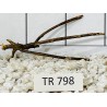 Spiderwood 798