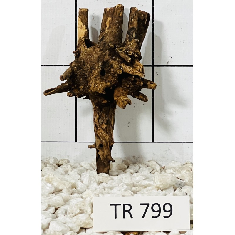 Spiderwood 799