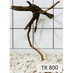 Spiderwood 800