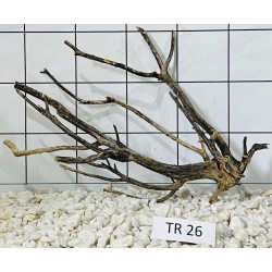 Spiderwood 26