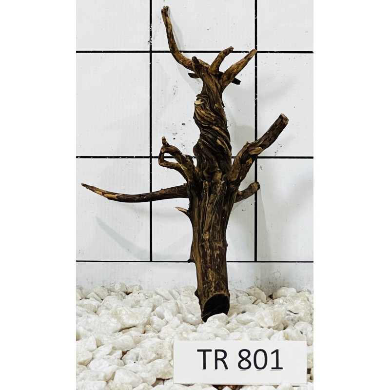 Spiderwood 801