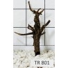 Spiderwood 801