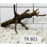 Spiderwood 801