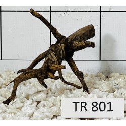 Spiderwood 801